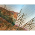 thumbnail image 4 of Ambesonne Saguaro Quilted Bedspread Set 3 Pcs, Sun in Desert Cactus, Queen Size, Orange Blue Green, 4 of 5
