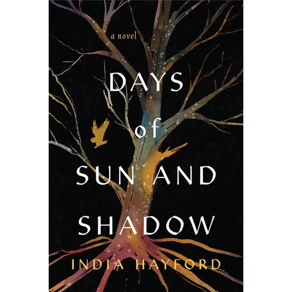 Days of Sun and Shadow, (Paperback)