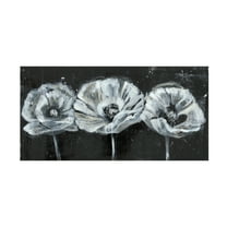 Jennifer Goldberger 'White Trio on Black II' Canvas Art