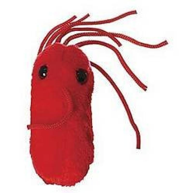giant microbes salmonella