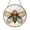 Acrylic 3.5 Inch, variant on Cicada Stained Glass Style Panel, Nature Inspired Circular Decorative Window Hanging