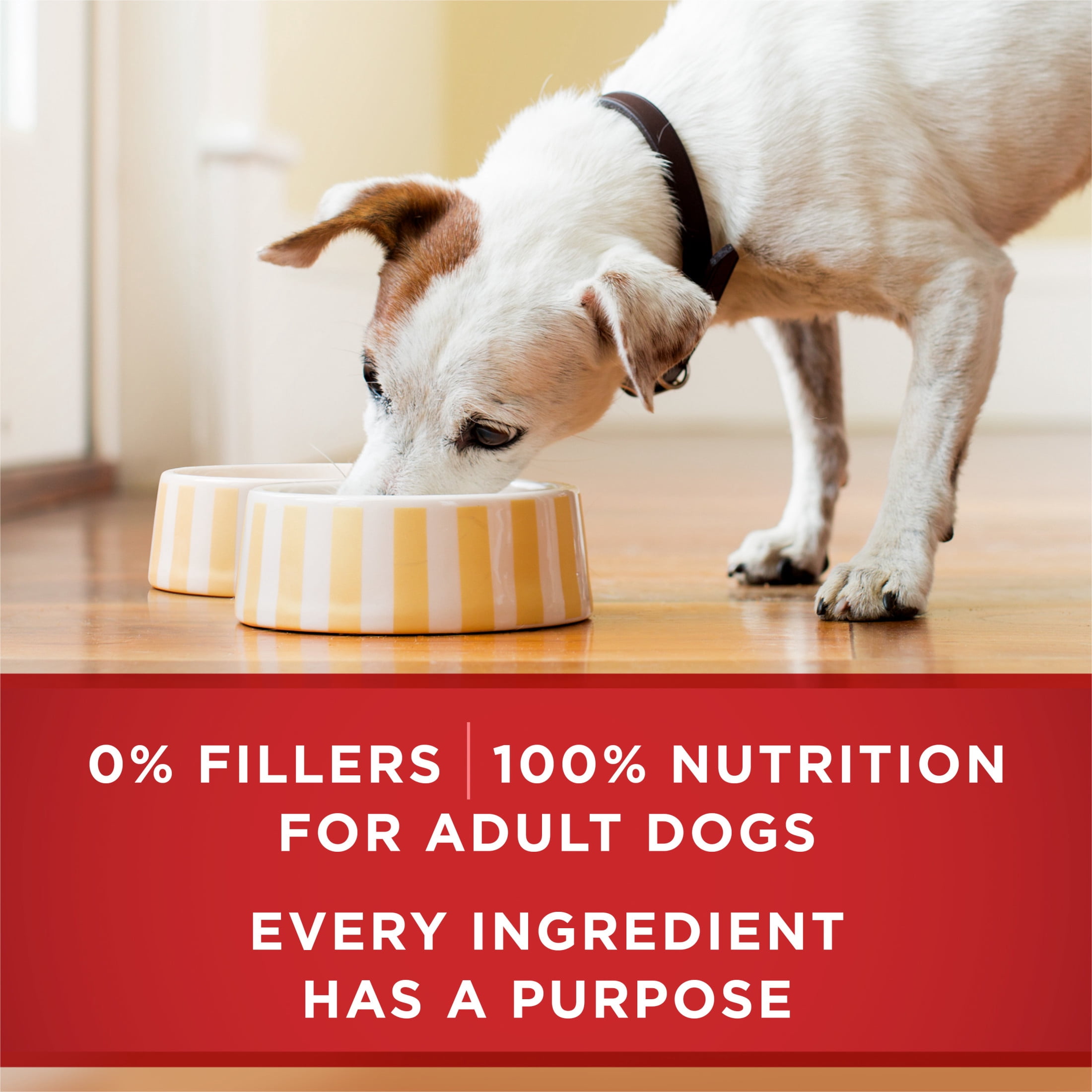 Purina ONE +Plus Heart & Brain Health Chicken & Brown Rice Entrée, Wet Dog Food, 368g