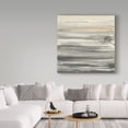 thumbnail image 3 of Trademark Fine Art 'Wood Panel III' Canvas Art by Chris Paschke, 3 of 3