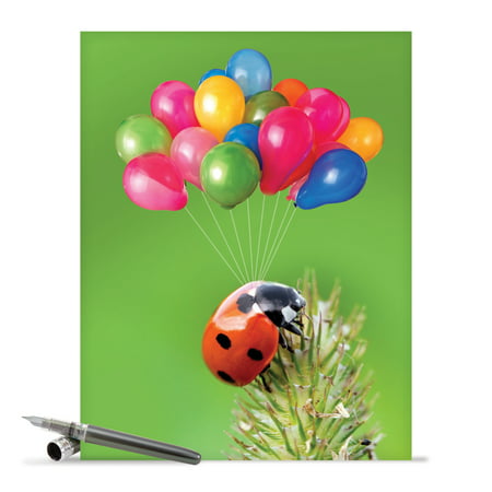 J1546DBDG Extra Large Birthday Greeting Card: 'Lady B' Featuring a Whimsical Image of a Ladybugs Greeting Card with Envelope by The Best Card