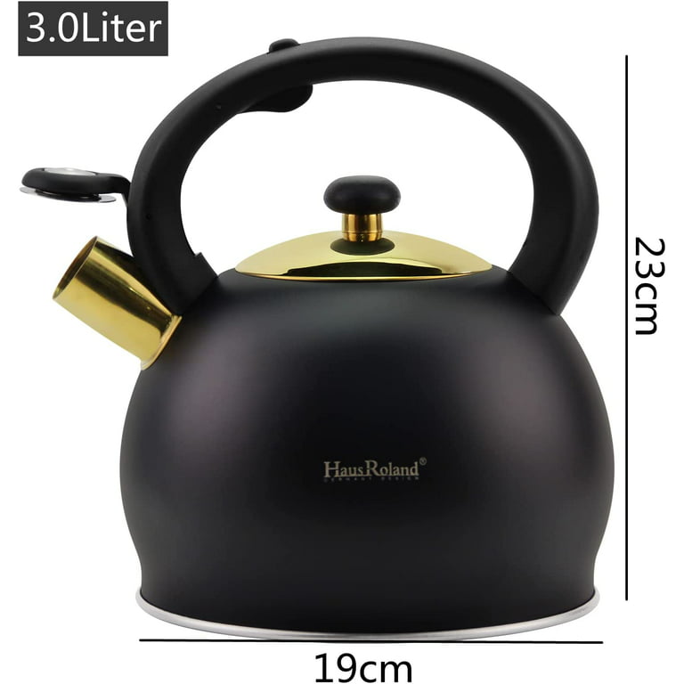 Induction Kettle Whistling Tea Kettle Stainless Steel Stove