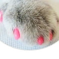 thumbnail image 4 of HLONK 20Pcs Soft Plastic Colorful Cat Nail Caps Paw Claw Protector Cover with Glue, 4 of 10