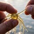 thumbnail image 3 of Sea Urchin Soft Bait, Flexible Plastic Finesse Bait, High Appeal to Game Fish for All-Day Outdoor Angling (Gold), 3 of 6
