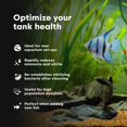 thumbnail image 3 of Tratamiento de Agua para Acuarios Brightwell Aquatics MicroBacter Start XLF 125 ml, 3 of 6