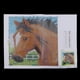 thumbnail image 4 of de de Pestillo para Caballo / Conejo / Perro Funda de Sunnimix Latch Hook Kits, 4 of 8