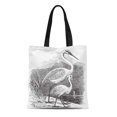 thumbnail image 1 of JSDART Sac Fourre-Tout en Toile Gravure de Great Egret Ardea Alba et Little Garzetta Sac à Provisions Réutilisable, 1 of 1