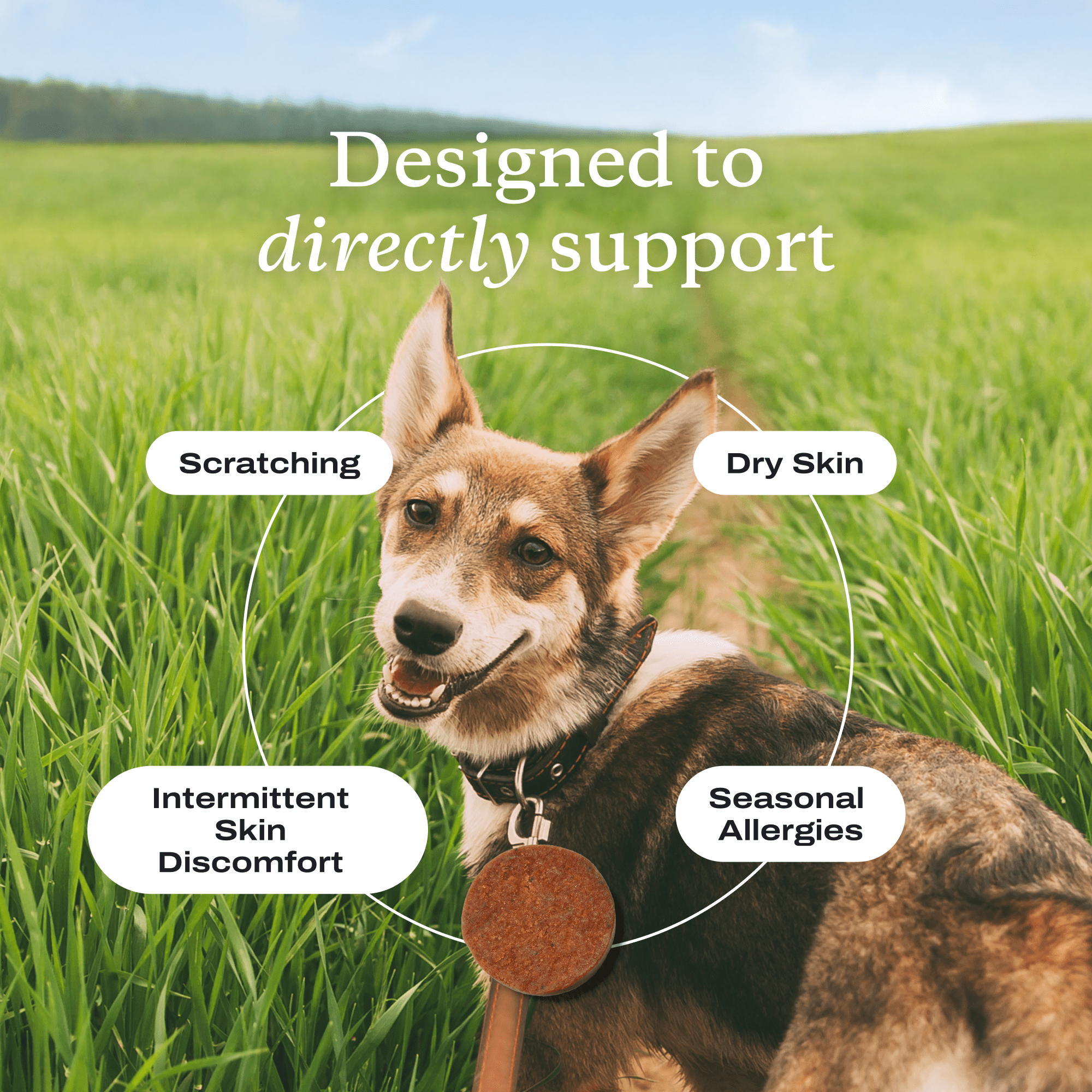PetLab Co. Itch Relief Chews For Dogs - For Dry, Occasionally Itchy Skin and Coats - Omega 3 & 6. 30 ct