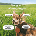 thumbnail image 6 of PetLab Co. Itch Relief Chews For Dogs - For Dry, Occasionally Itchy Skin and Coats - Omega 3 & 6. 30 ct, 6 of 10