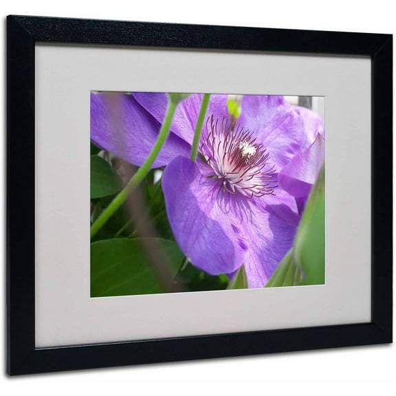 Trademark Fine Art "Meaningful Bliss" Canvas Art by Monica Fleet, White Matte, Black Frame