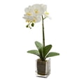 thumbnail image 3 of Nearly Natural 24" Orchid Phalaenopsis Artificial Flower Arrangement in Vase, Cream, 3 of 3