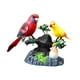 thumbnail image 4 of Mascota electrónica decorativa para el hogar y oficina, juguete interactivo para niños, regalo de cumpleaños, pájaro cantor activado por sonido., 4 of 9