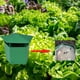 thumbnail image 4 of Trampas para caracoles naturales de 6 uds, trampas para cerveza, trampas para babosas de caracol, colector de caracoles ecológico verde, trampa para caracoles en caja con herramientas de excavación y TUNC Sencillez, 4 of 5
