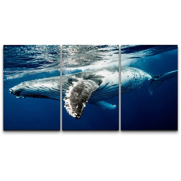 wall26 Canvas Print Wall Art Set Tropical Island Underwater Deep Sea Whale Nature Animals Photography Realism Rustic Landscape Colorful for Living Room, Bedroom, Office - 16"x24" x 3