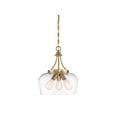 thumbnail image 1 of Savoy House Octave 3-Light Pendant Lighting, Clear Glass & Warm Brass, 1 of 1