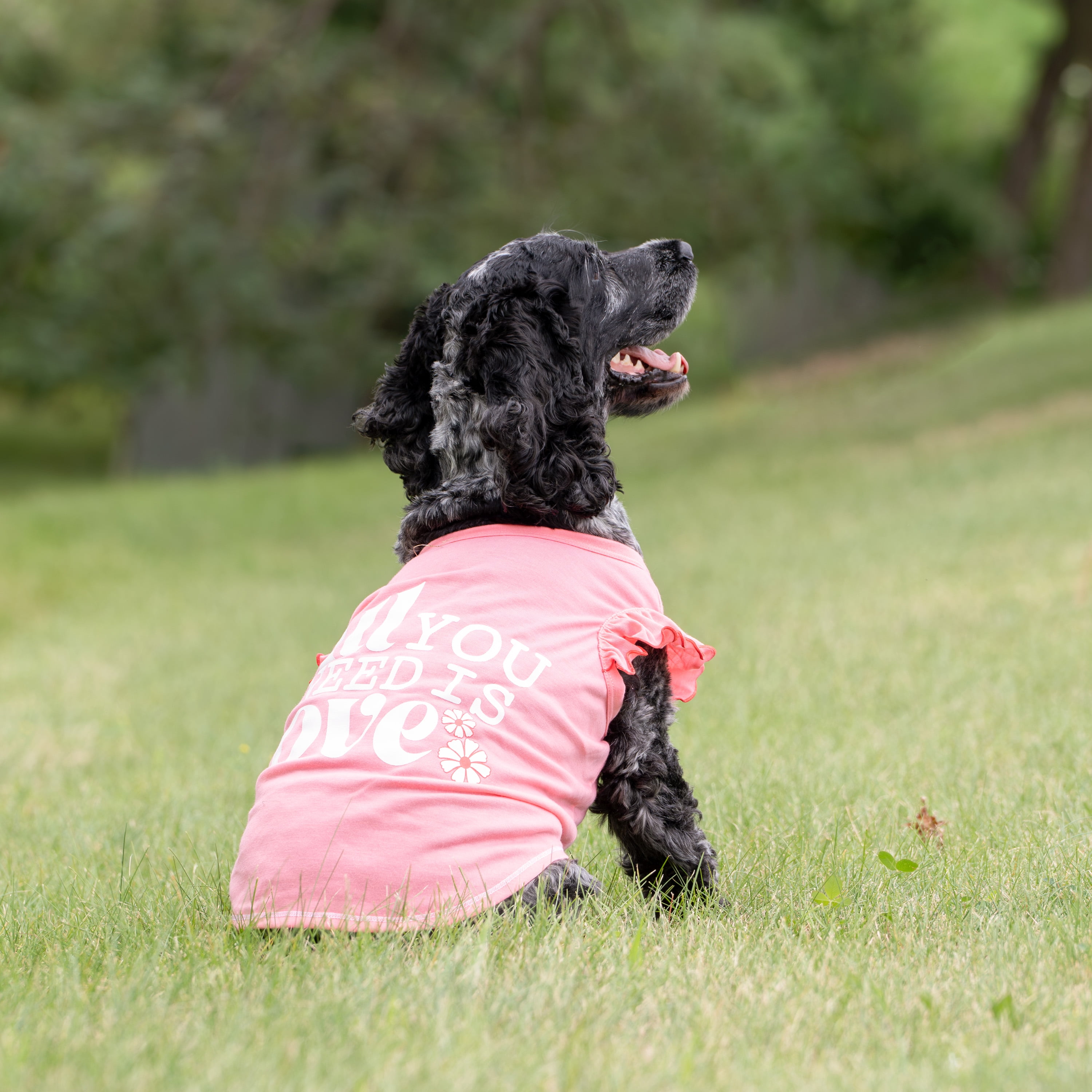Vibrant Life All You Need Is Love Cat and Dog T-Shirt, Pink, Small
