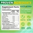 Spring Valley Advanced Digestive Enzymes, 60 Count