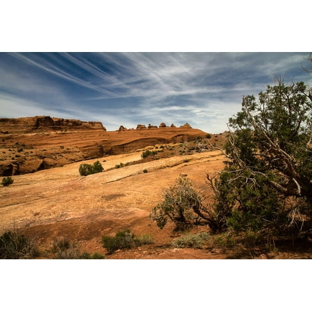 L N Stick Poster Of Arches National Park Usa L N Stick Poster Of Arches National Park Usa 24x16