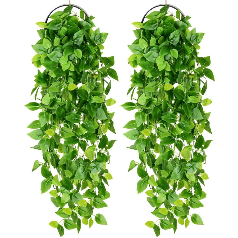 Hanging cheap plants walmart