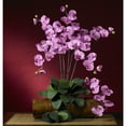 thumbnail image 3 of Nearly Natural Phalaenopsis Stem, Mauve, 12pc, 3 of 3