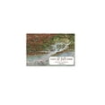 thumbnail image 2 of Historic Panoramic View - New York - Oham 1907 - Vintage Wall Art, 2 of 4