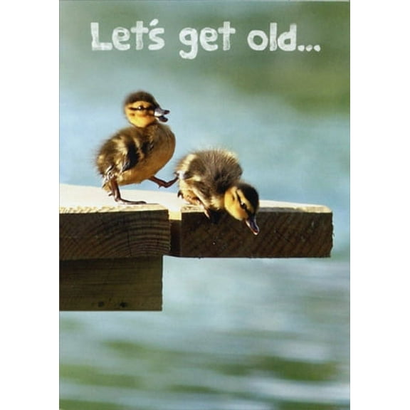 Avanti Press Ducklings On Dock Funny Birthday Card