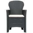 thumbnail image 3 of vidaXL Garden Chair 2 pcs with Cushion Brown Plastic Rattan Look, 3 of 4