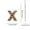 X, variant on HBBKVI 26 Letter Acrylic Keychain Pendant for Books