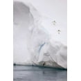 thumbnail image 2 of Grall, Don 17x24 White Modern Wood Framed Museum Art Print Titled - Antarctica Adelie penguin diving off an iceberg, 2 of 4