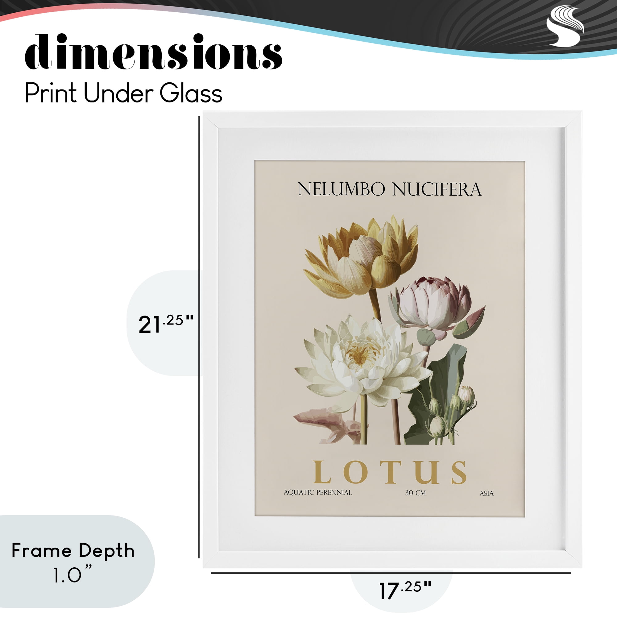 Stupell Industries Natural Lotus Bundle White Framed Print Under Glass, design by Christopher Giampietro
