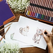 COLOUR BLOCK 40pc Colored Pencils Drawing Travel Art Set, Sketch Supplies for Beginners, Children, and Artists