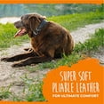 thumbnail image 5 of Mighty Paw Collar de cuero para perro, cuero envejecido súper suave, calidad premium, aspecto moderno y elegante., 5 of 5
