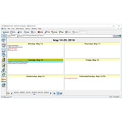 AnyTime Organizer Deluxe 16