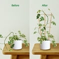 thumbnail image 2 of Cambaverd 3 Pack Bamboo Trellis, 16 inch Plant Trellis Indoor, Garden Trellis for Potted Plants and Vegetables, 2 of 6