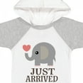 thumbnail image 4 of Inktastic Just Arrived Baby Elephant Boys or Girls Baby Bodysuit, 4 of 5