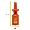 thumbnail image 3 of Dropping Bottle, 30ml (1oz) - Amber Borosilicate 3.3 Glass - Eye Dropper Pipette and Dust Proof Rubber Bulb - Octagonal, Non-screw Top - Eisco Labs, 3 of 3