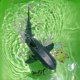 thumbnail image 2 of Radio Remote Control Fish Toy Rc Shark Boat Electric Water Large Size Animal, 2 of 5