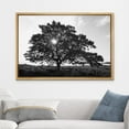 thumbnail image 2 of wall26 Framed Canvas Print Wall Art Sunlight Shines Through Large Mountain Tree Floral Nature Photography Realism Expressive Dark Black and White for Living Room, Bedroom, Office - 16"x24", 2 of 5