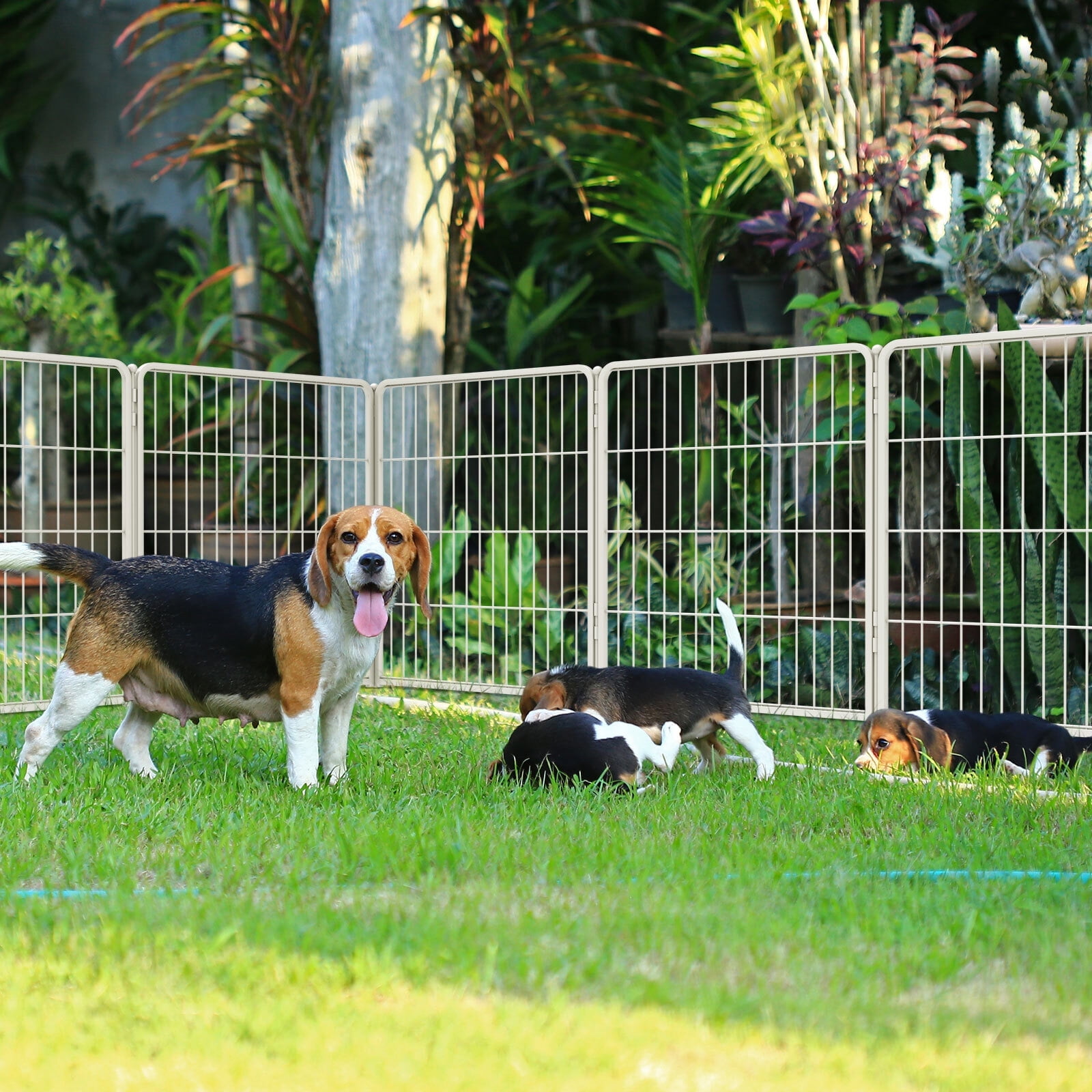FXW Aster Dog Playpen Designed for Courtyard, RV Camping, 24" 16 Panels for Small Dogs, White