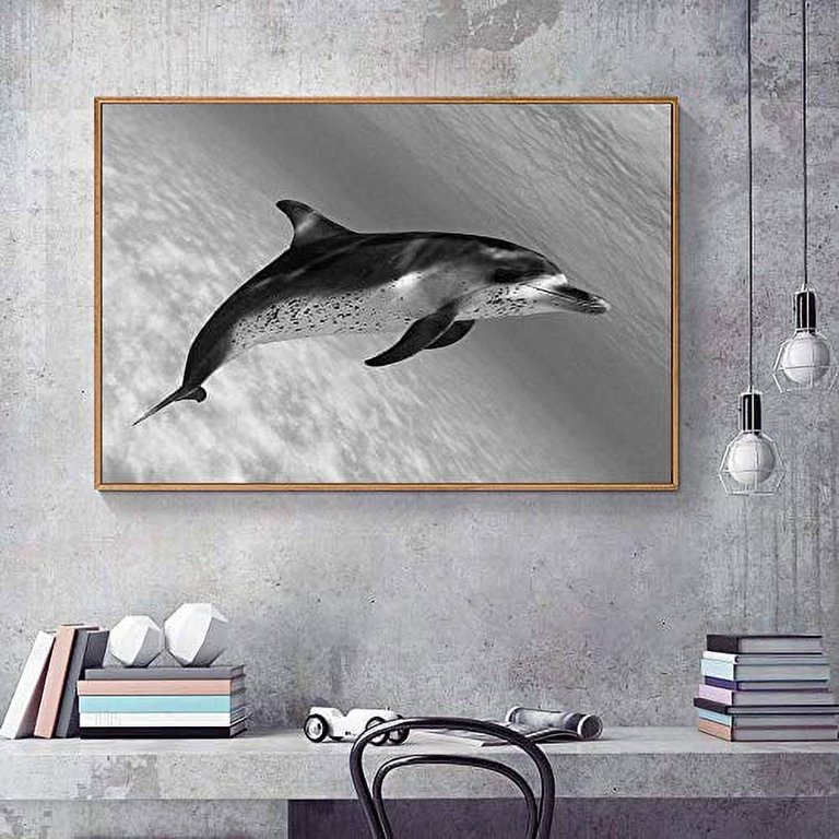 wall26 Floating Framed Canvas Wall Art for Living Room, Bedroom Black and  White Wild Animal Canvas Prints for Home Decoration Ready to Hang - 16x24 