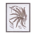thumbnail image 6 of Melrose International Framed Fern Print (Set of 6), 6 of 7