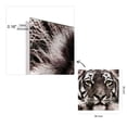 thumbnail image 4 of Empire Art Direct Eye of the Tiger Frameless Free Floating Tempered Glass Panel Graphic Wall Art, 38" x 38" x 0.2", Ready to Hang, 4 of 9