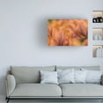 thumbnail image 2 of Trademark Fine Art 'Orange Tulips' Canvas Art by Cora Niele, 2 of 4