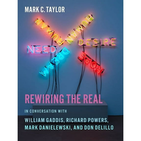Religion, Culture, and Public Life Rewiring the Real: In Conversation with William Gaddis, Richard Powers, Mark Danielewski, and Don Delillo, Book 12, (Paperback)