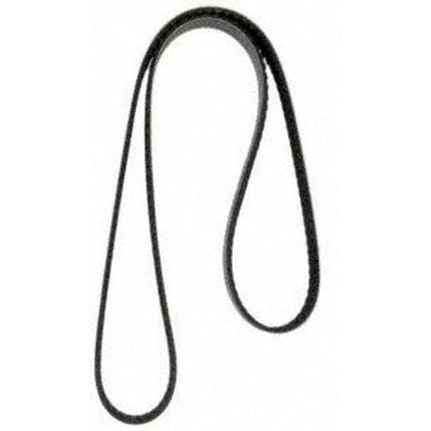 Continental 4081261 Serpentine Belt