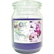 Lilac Blossoms Jar Candle - 18 oz