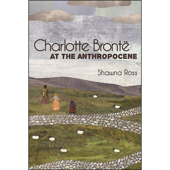SUNY Series, Studies in the Long Ninetee Charlotte BrontÃ« at the Anthropocene, (Paperback)